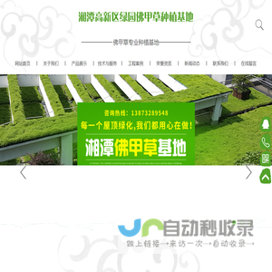 湘潭高新区绿园佛甲草种植基地_湖南佛甲草成品模块产品|苗木种植销售