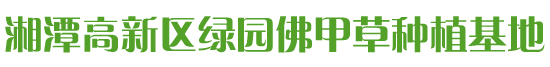 湘潭高新区绿园佛甲草种植基地_湖南佛甲草成品模块产品|苗木种植销售